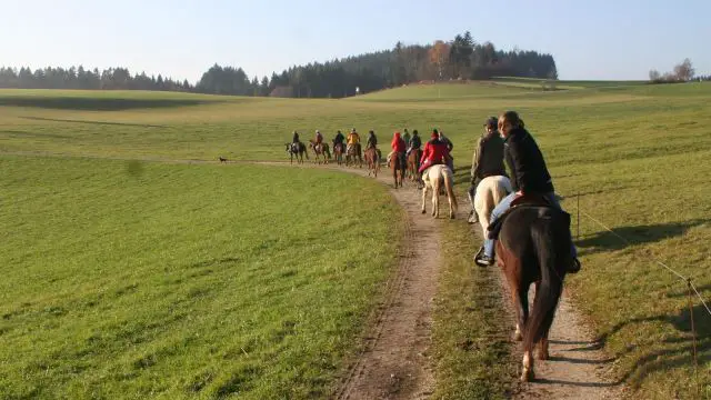 Horseback Riding around Bratislava © echonet.at / rv