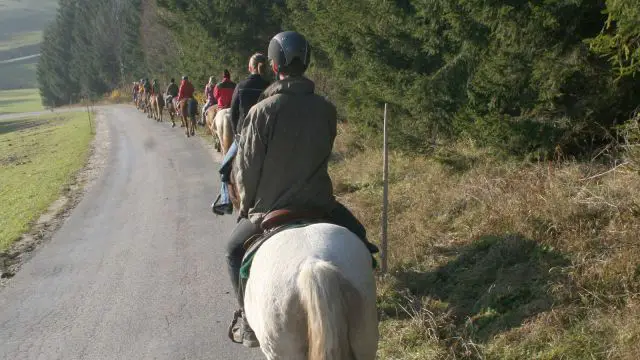 Horseriding around Budapest in Hungary © echonet.at / rv